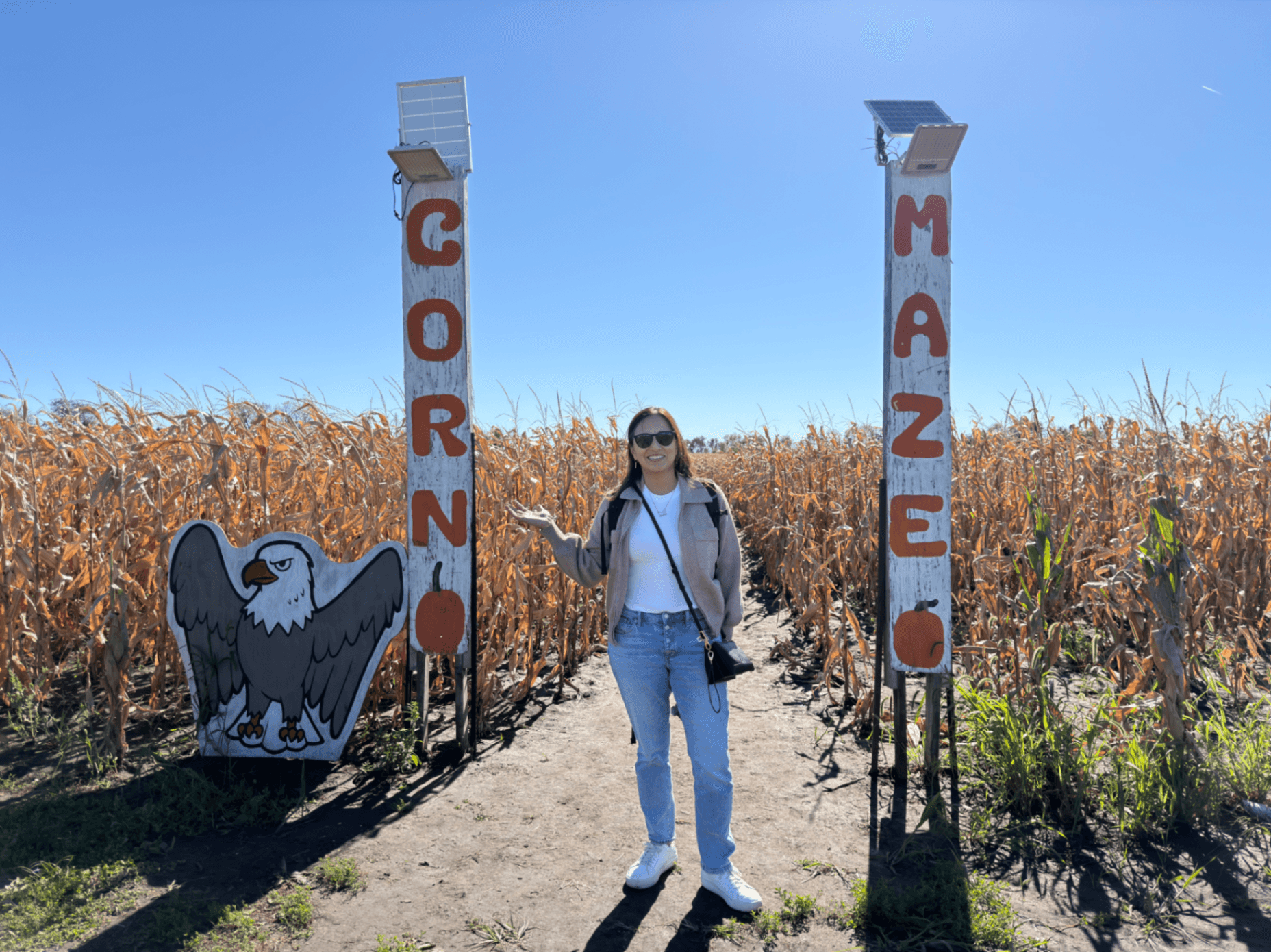 Pumpkinville & Cornmaze