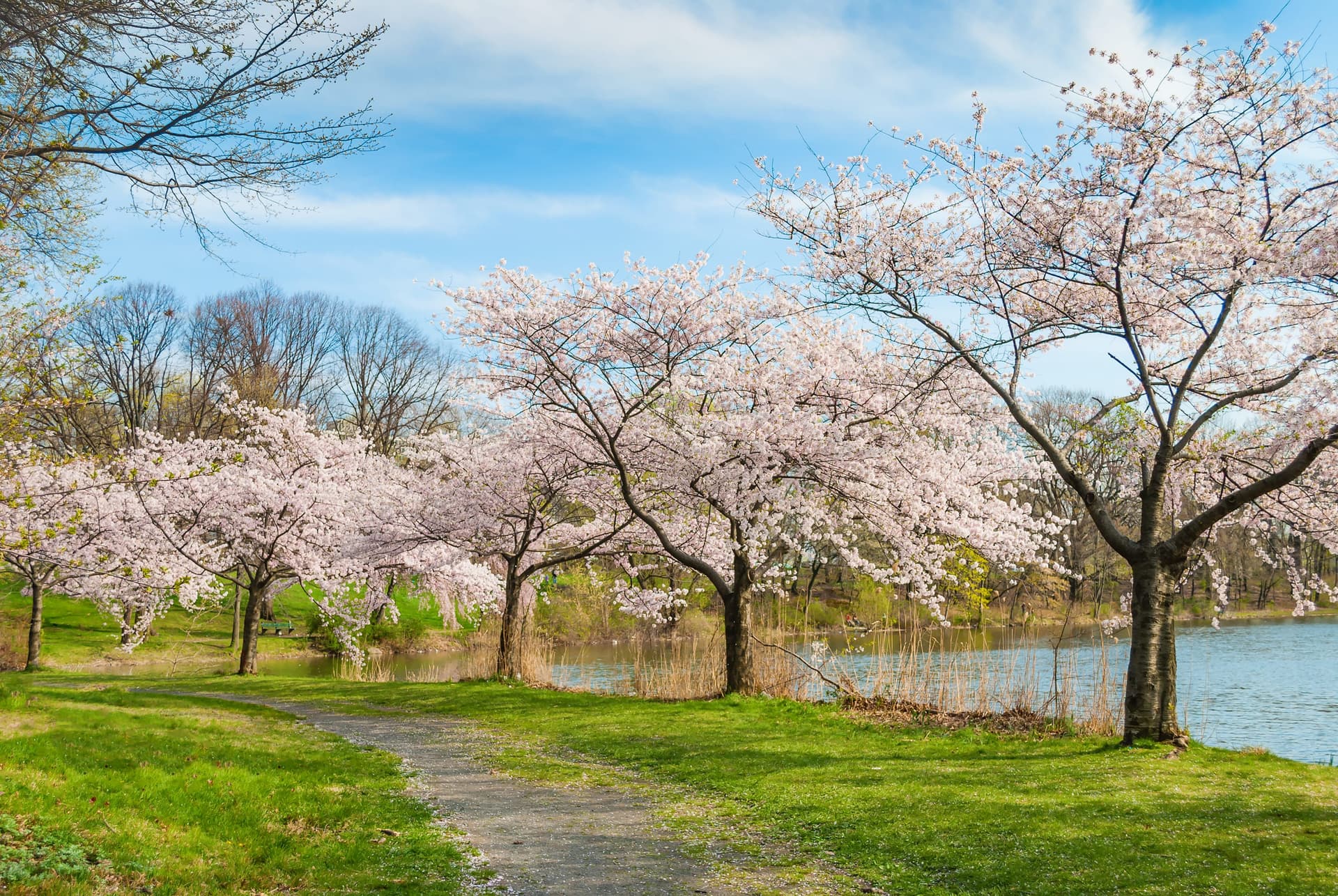 Travel and Learn English in Newark: A Unique Study and Cultural Experience