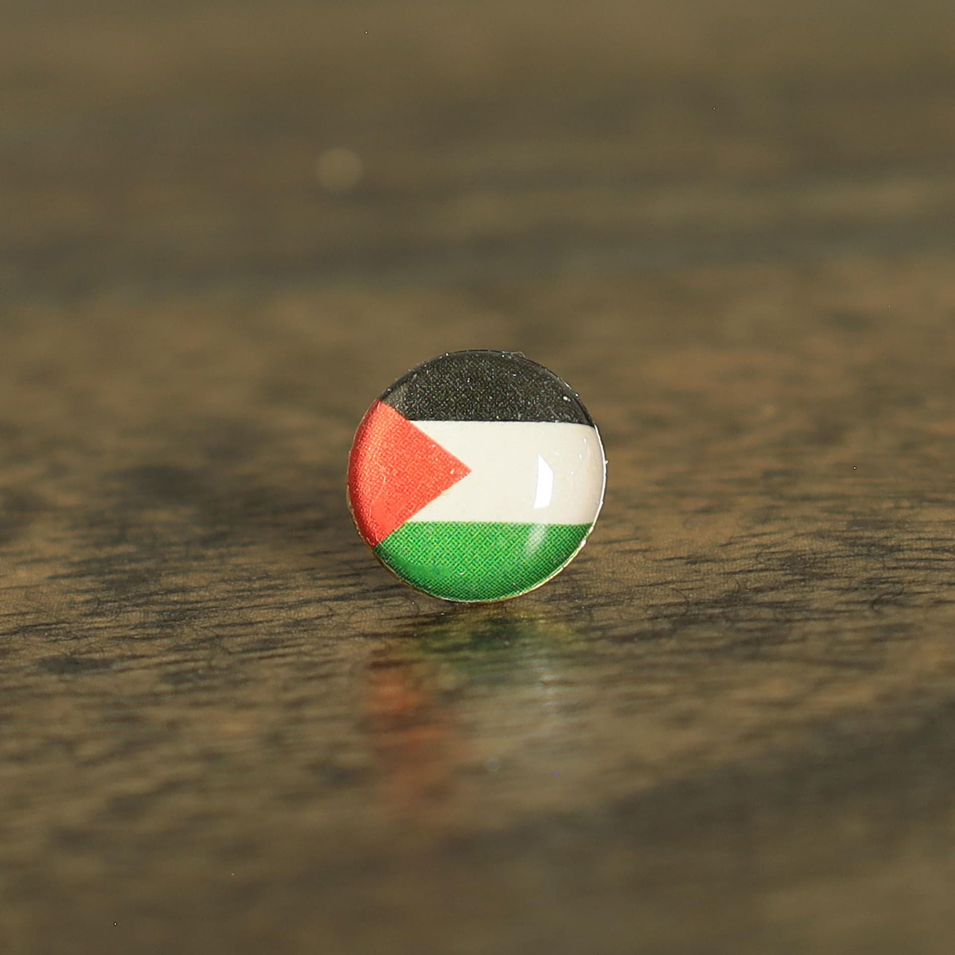 Palestine Flag Map Pin | Palestine Flag push pin | Palestine map pin for wood map