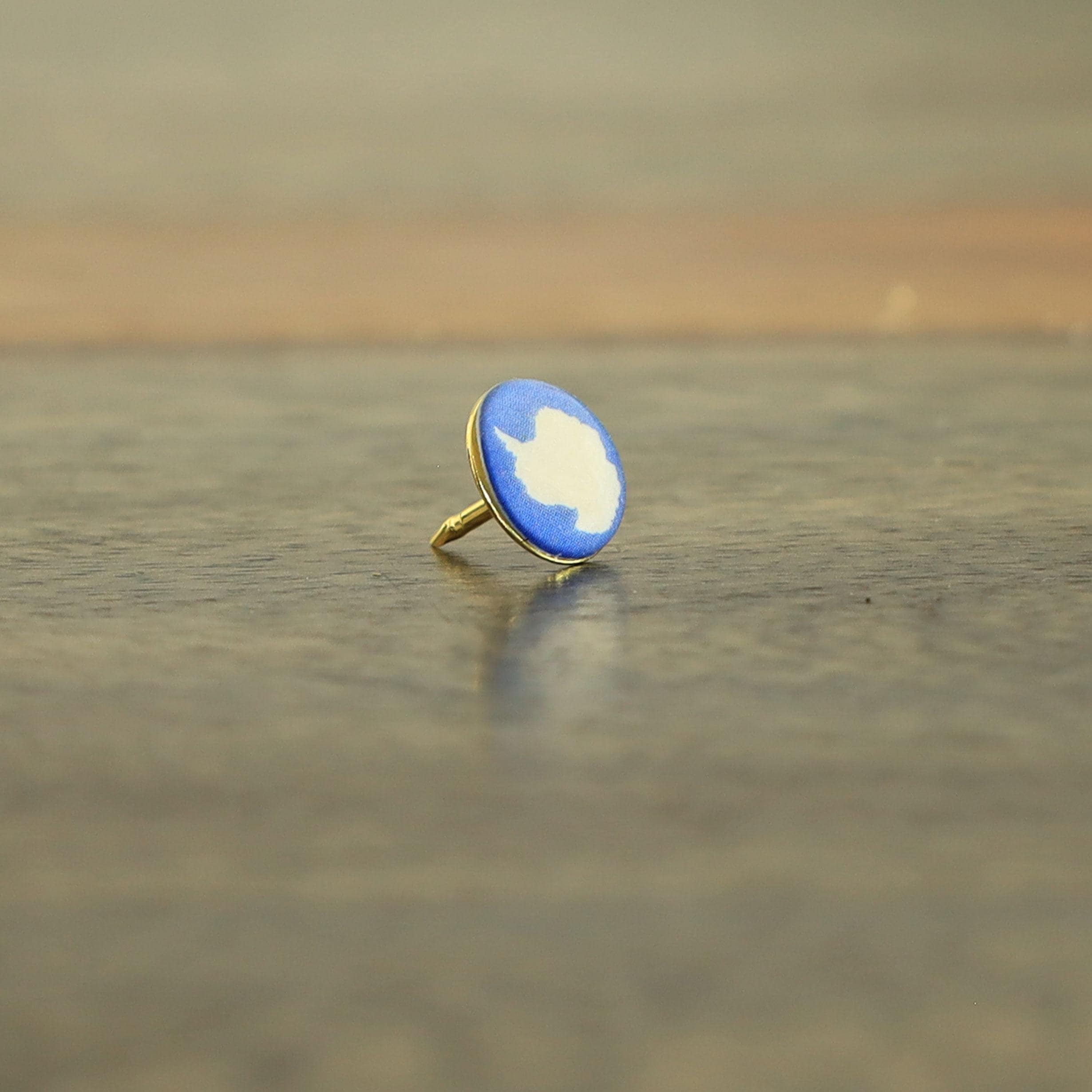 Antarctica Flag Map Pin | Antarctica Flag push pin | Antarctica map pin for wood map - Image 2