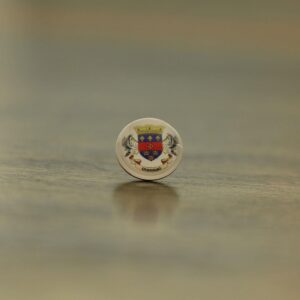 Saint Barthelemy Flag Map Pin | Saint Barthelemy Flag push pin | Saint Barthelemy map pin for wood map