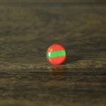Transnistria Flag Map Pin | Flag push pin | Transnistria map pin for wood map