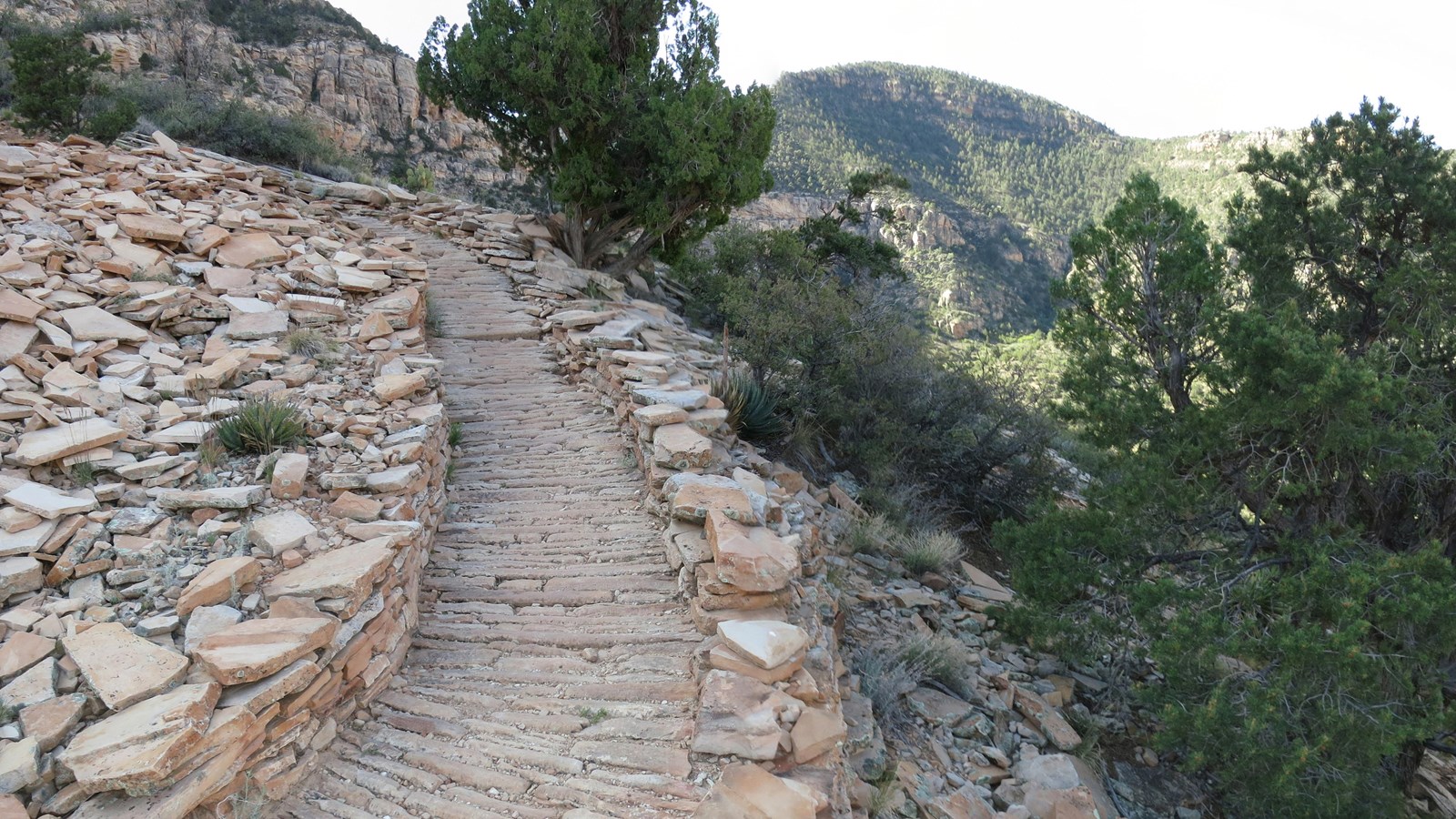 The Hermit Trail