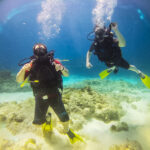 Happy Dive Center Punta Cana