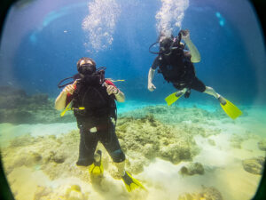 Happy Dive Center Punta Cana