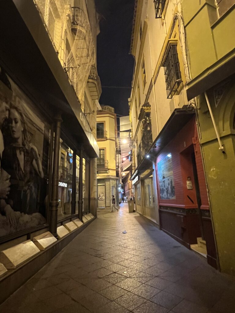 Centro Historico de Sevilla