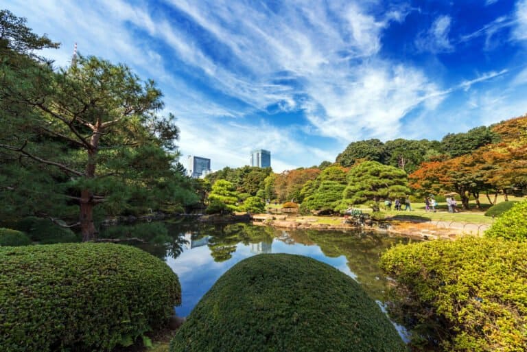 Shinjuku gyoen national garden