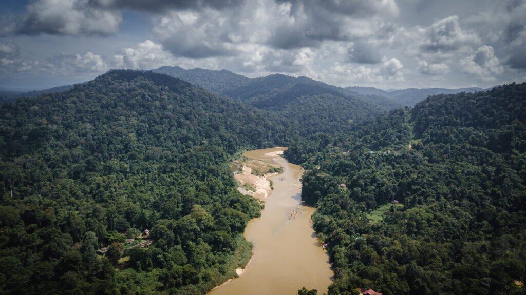 Taman Negara National Park