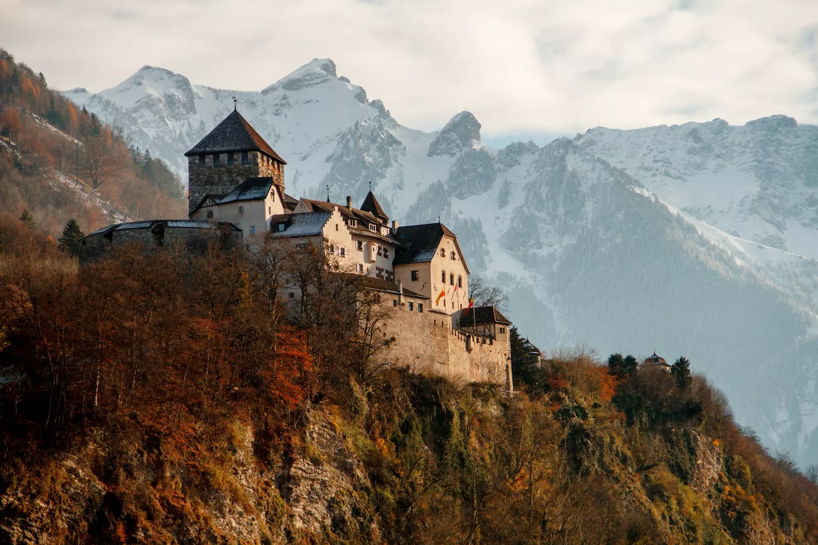 Castle on mountain surrounded by trees
