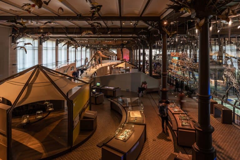 Museum of natural sciences – brussels