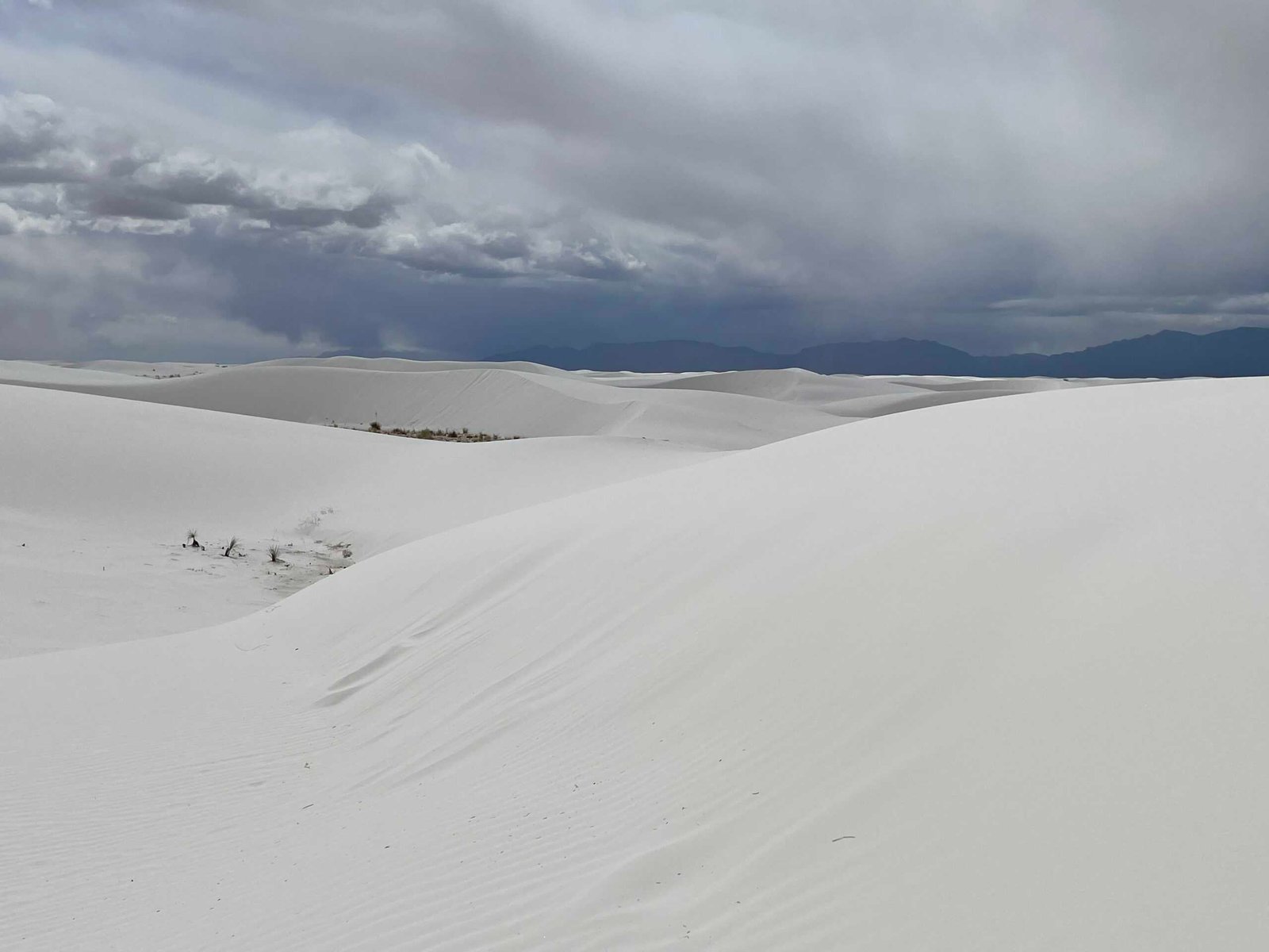 White sands national park