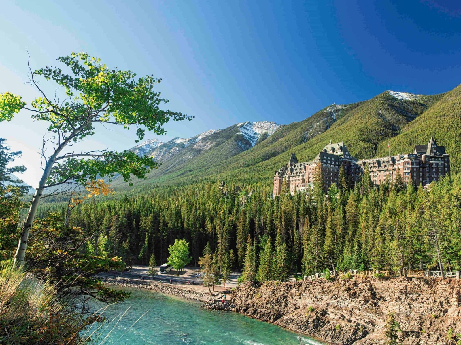 Fairmont banff springs