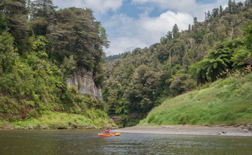 Whanganui river