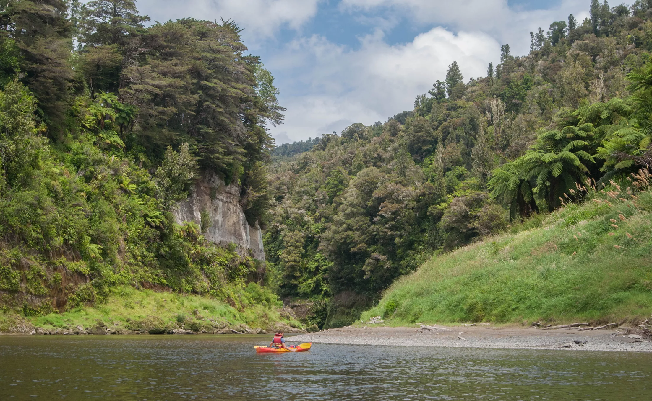 Whanganui River