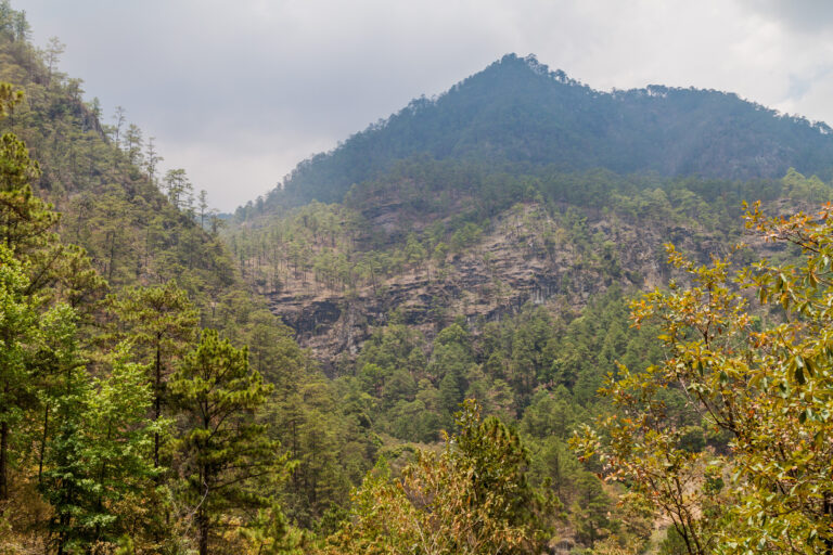 Parque nacional celaque