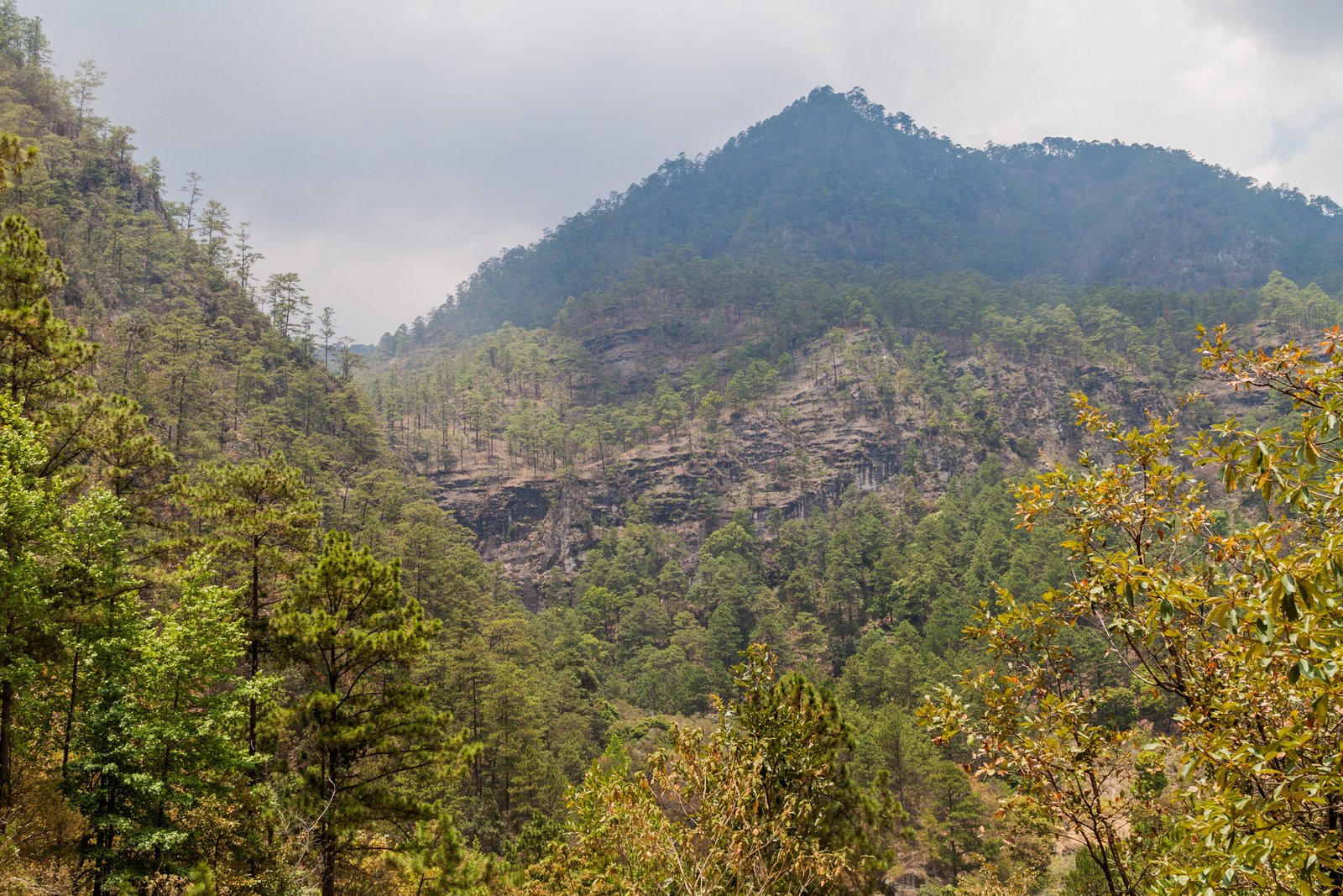 Parque Nacional Celaque