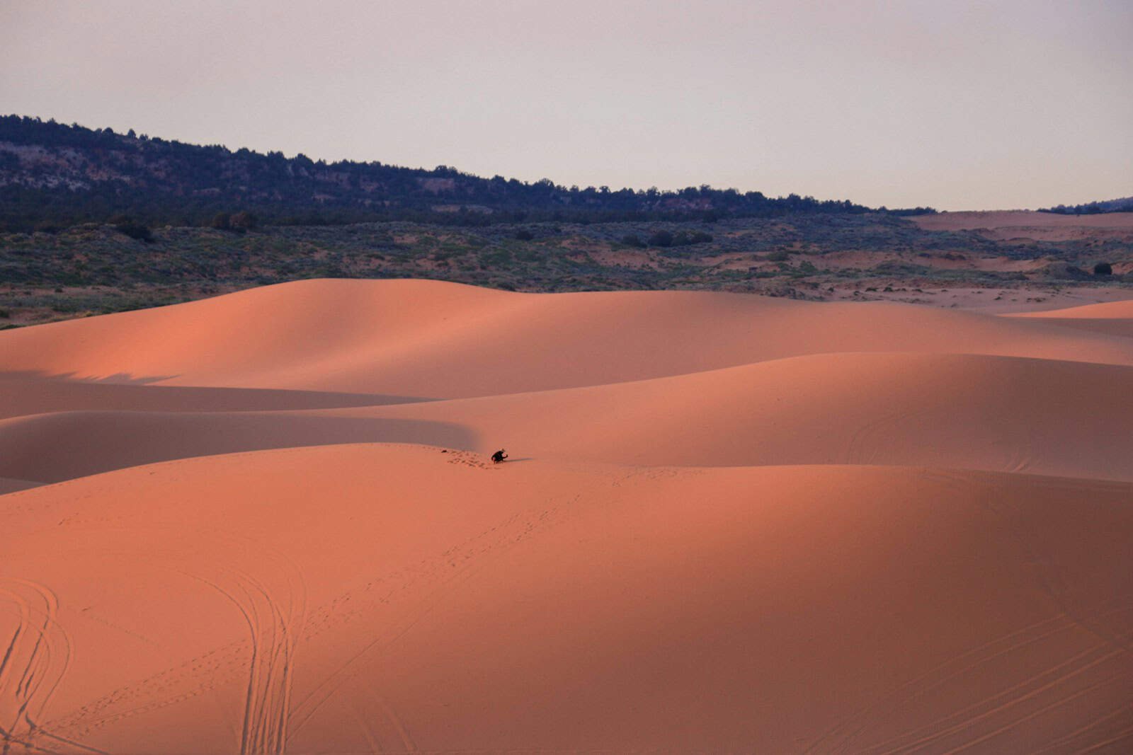 Coral pink sand dunes state park