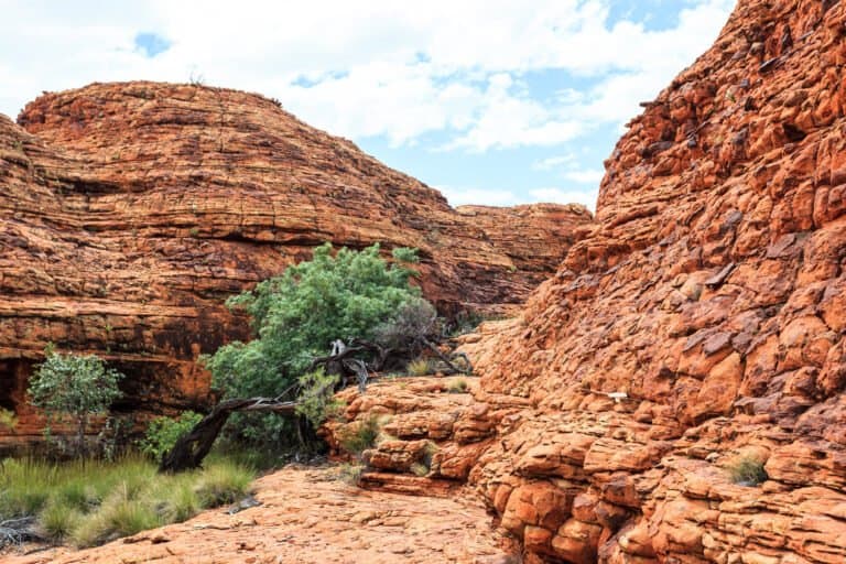 Kings canyon