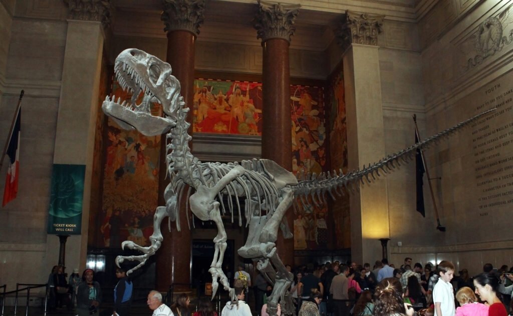 American museum of natural history in new york city