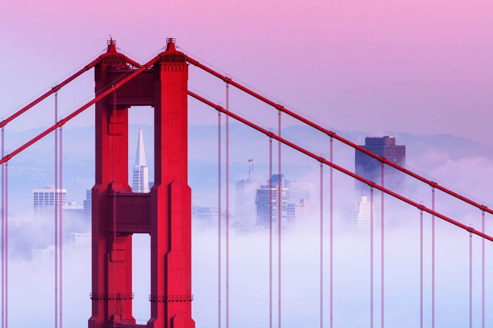 5 Exciting Activities to Experience in San Francisco