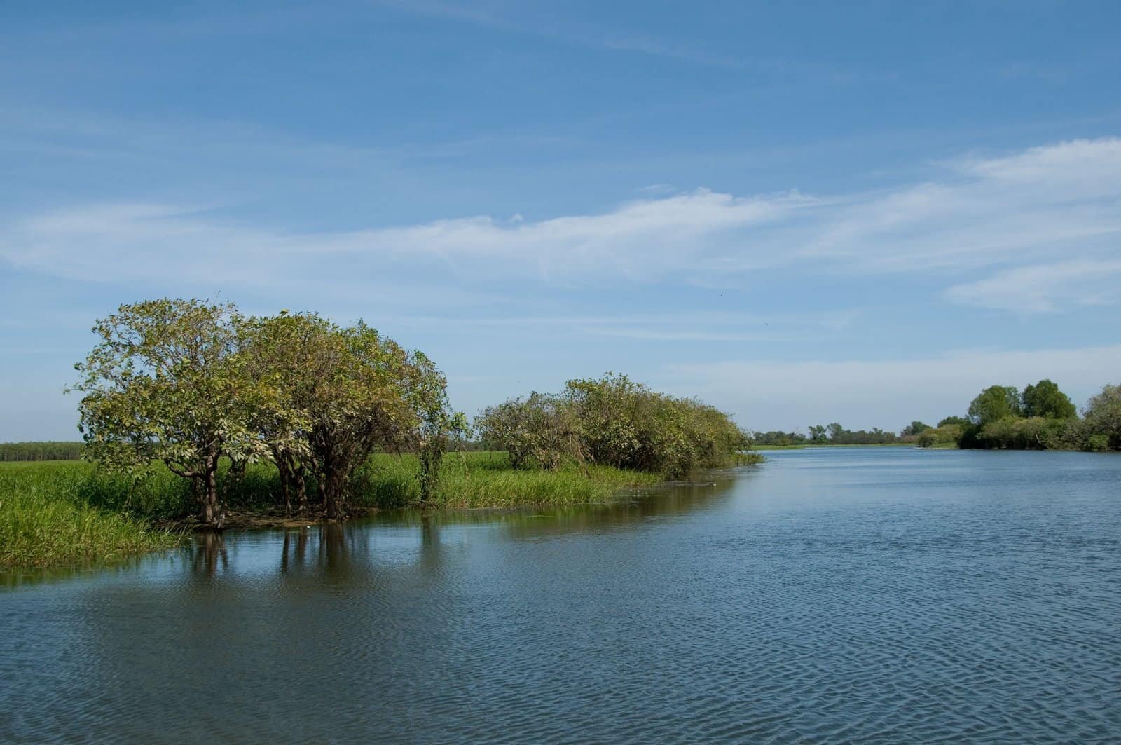 Yellow Water Cruises