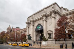 American museum of natural history in new york city