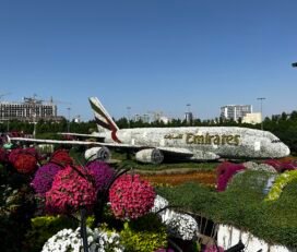 Dubai Miracle Garden