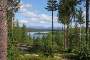Pallastunturi national park