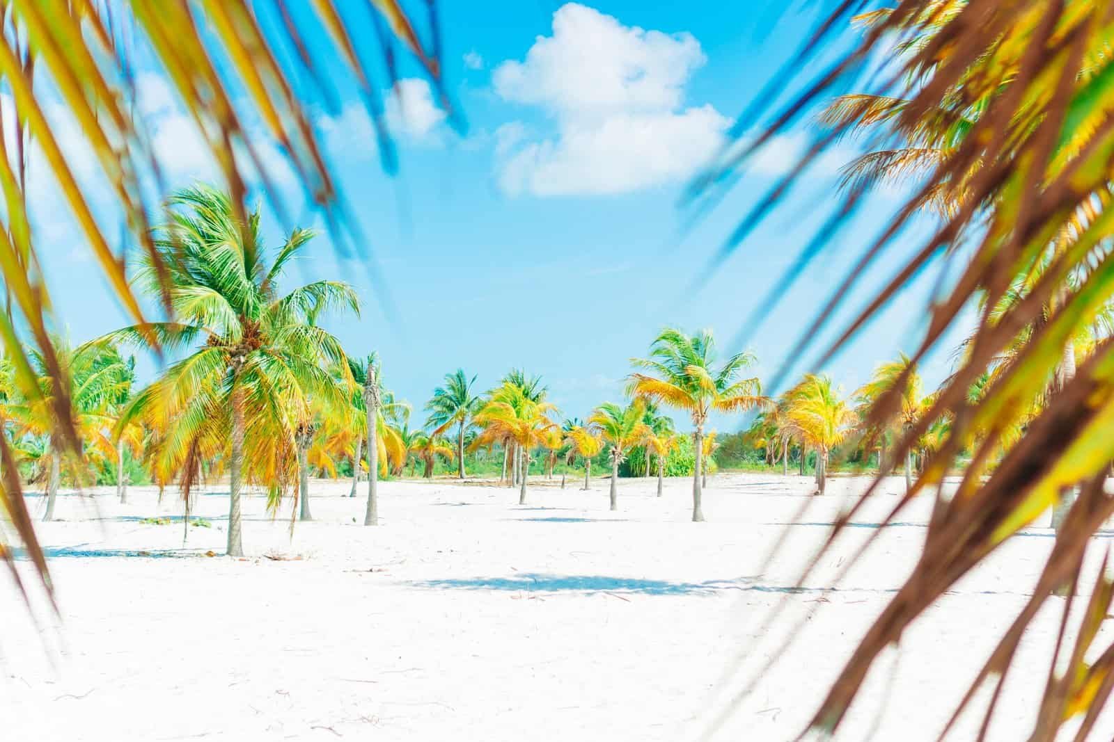 Playa Sirena
