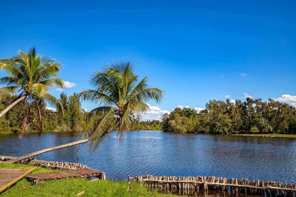 Laguna del Tesoro
