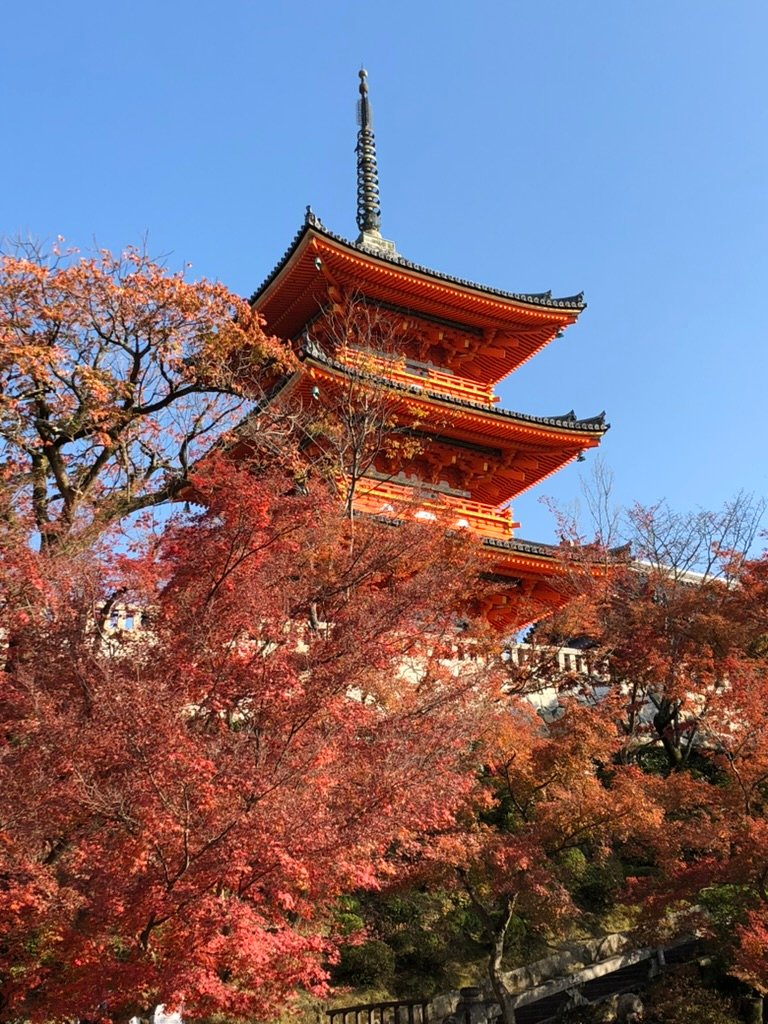 Kiyomizu-dera