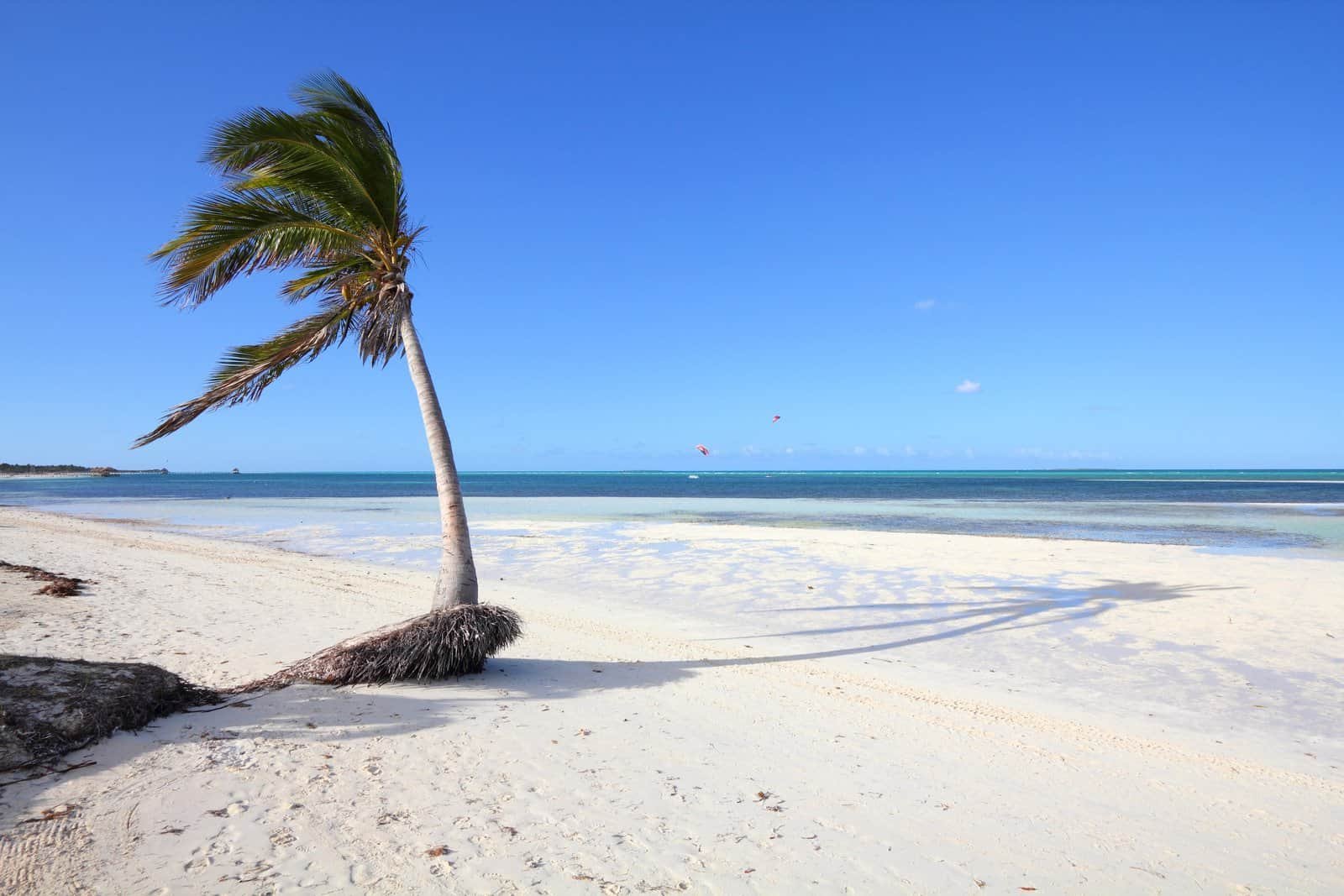 Cayo Coco