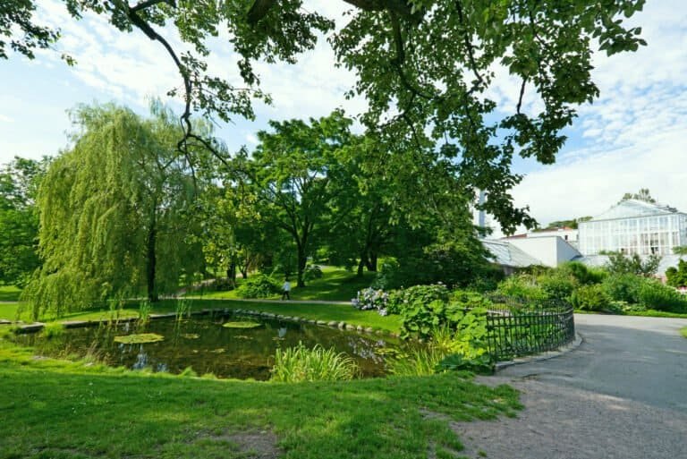 The botanical garden oslo