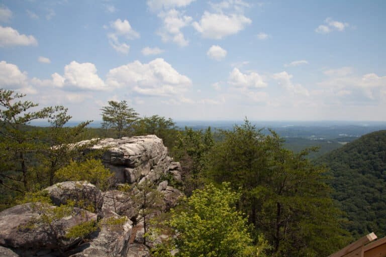 Discovering nashville's natural wonders