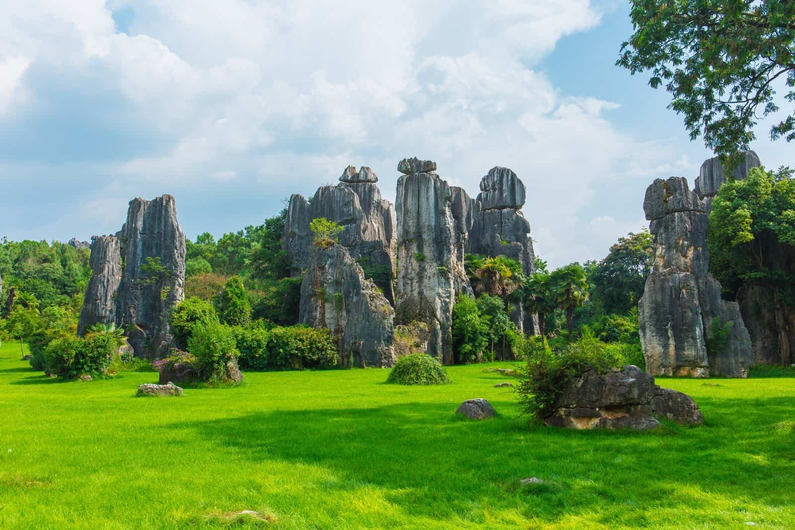 Stone-forest