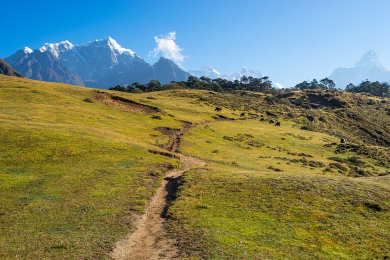 Teahouse trekking on the ebc trail: what accommodation is really like