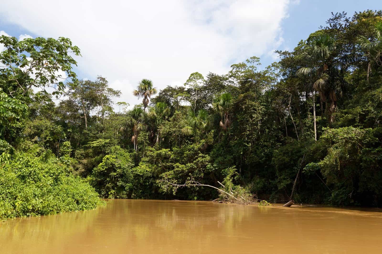 Parque Nacional Yasuní