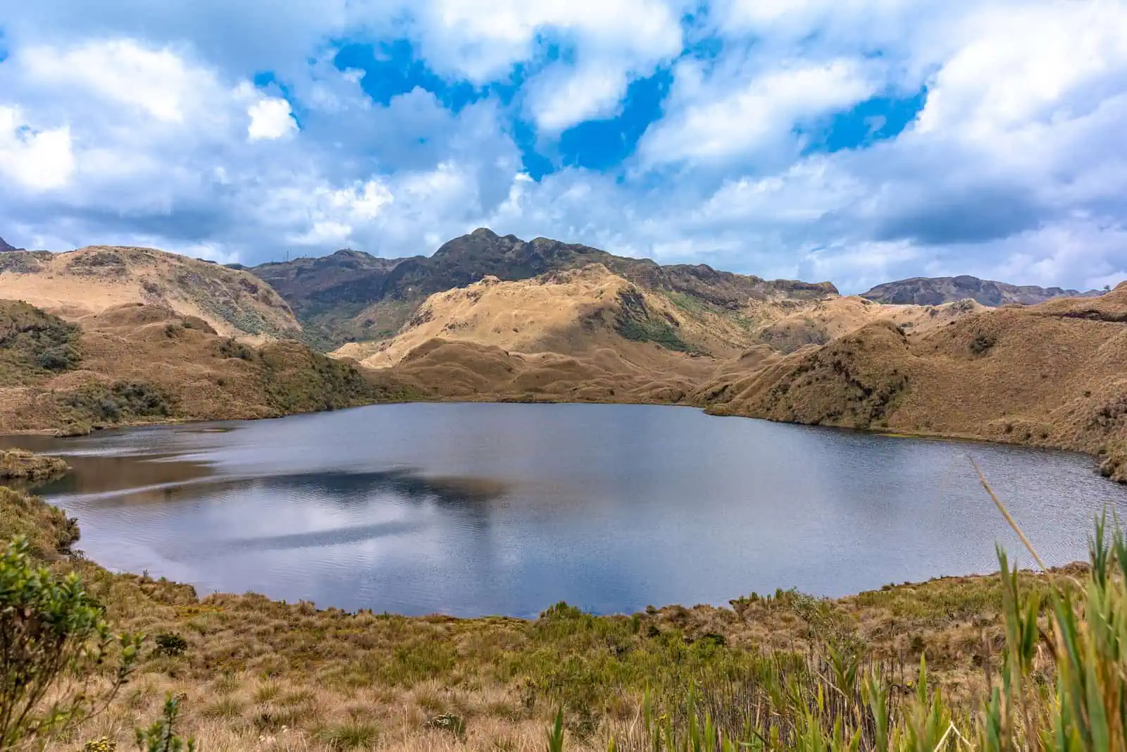 Parque Nacional Cayambe-Coca