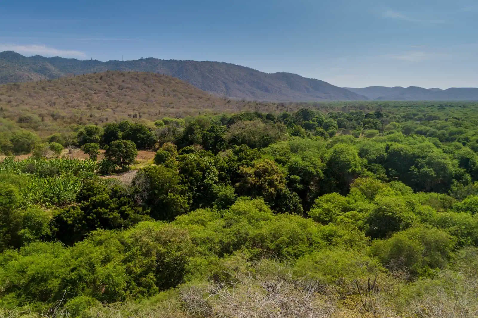 Machalilla National Park