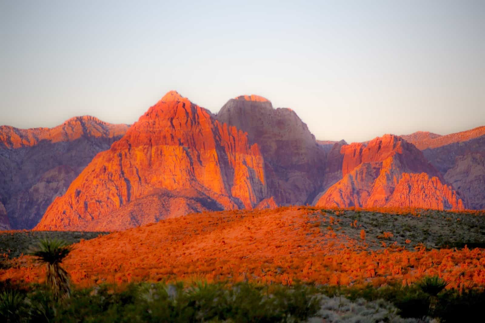 Beyond the Strip: Unexpected Adventures in Las Vegas