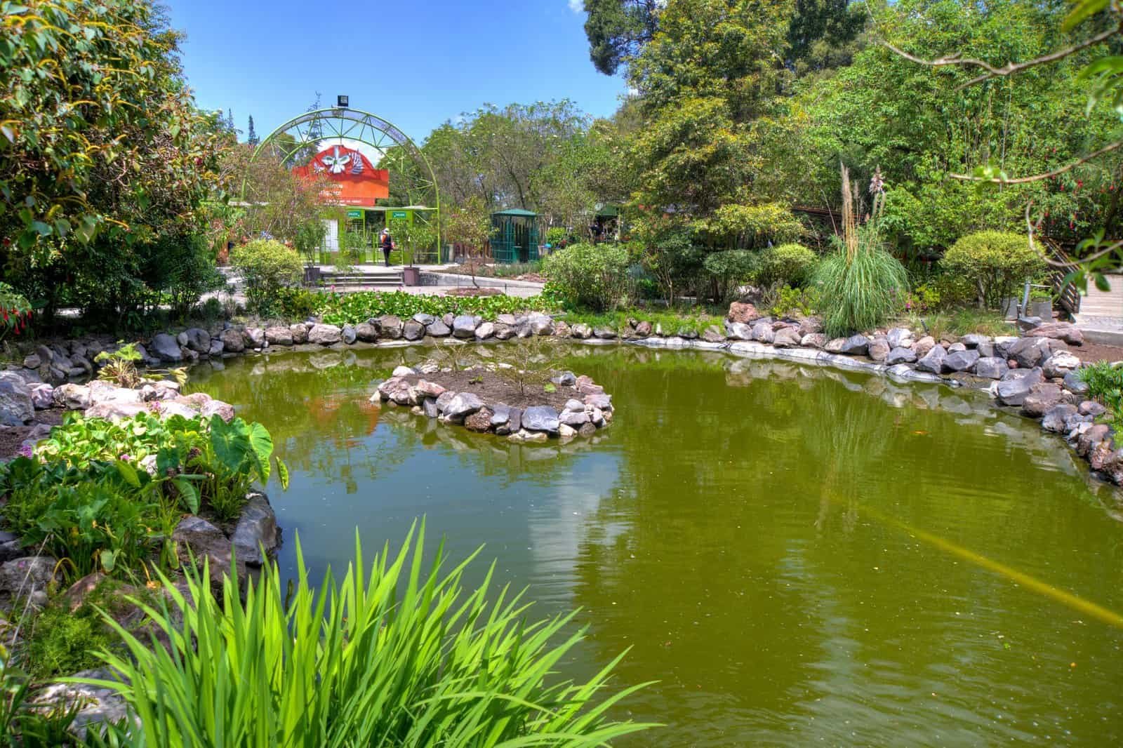 Quito Botanical Gardens