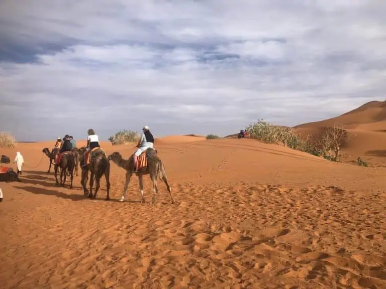 Sahara desert tours