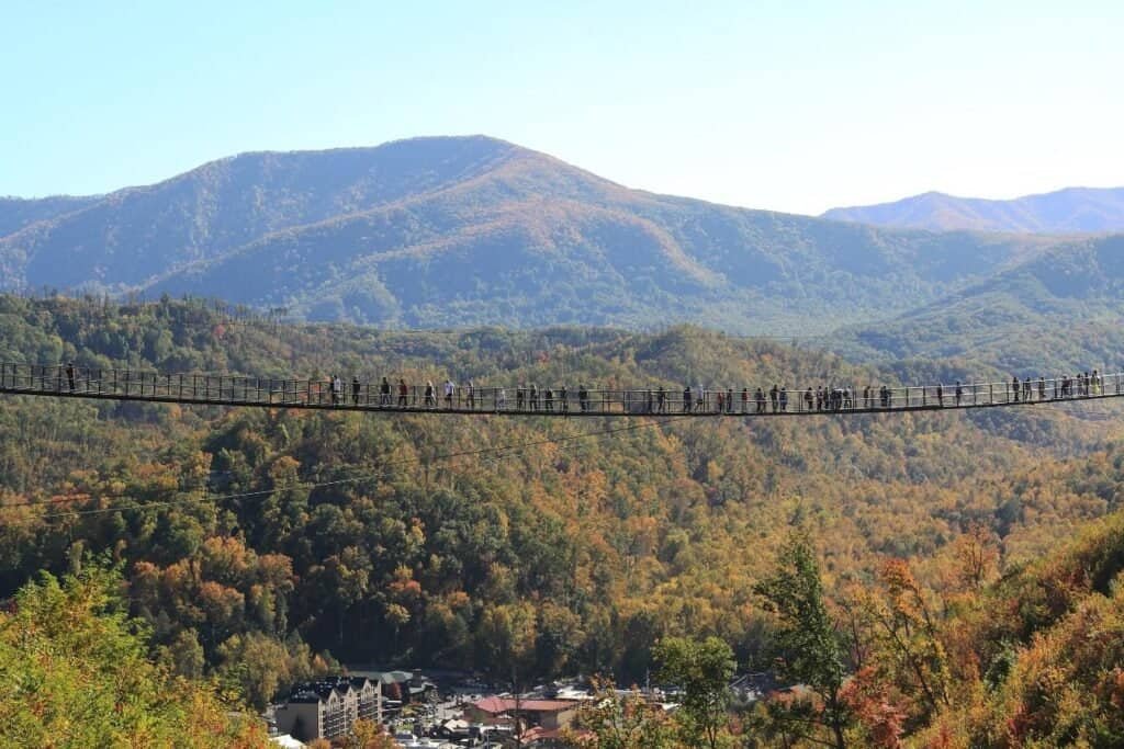 Family travel, made fun: exciting tips for stress-free trips to gatlinburg