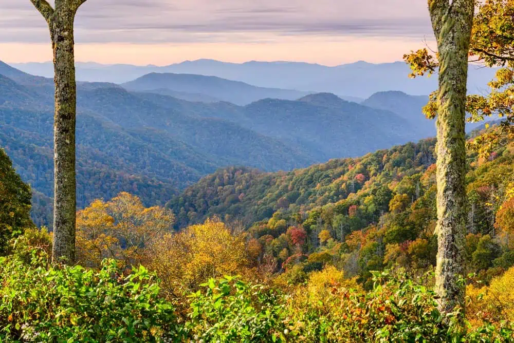 The best weekend escape to reconnect with nature