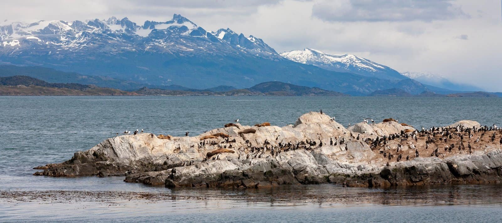 Beagle channel