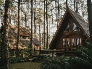 Why more people are moving to forested getaways