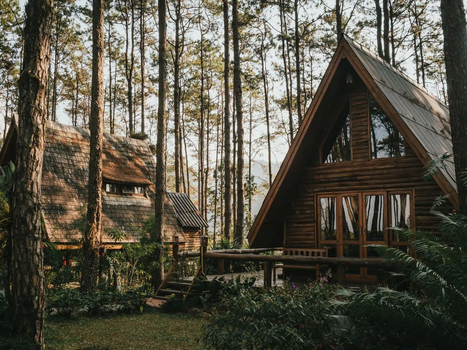 Trading Skyscrapers for Pines: Why More People Are Moving to Forested Getaways
