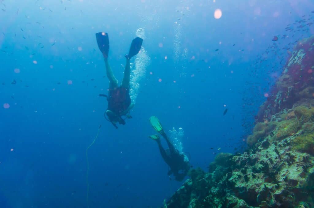 Diver blue water scuba diving at shark island of koh tao, pacific sea reef ocean