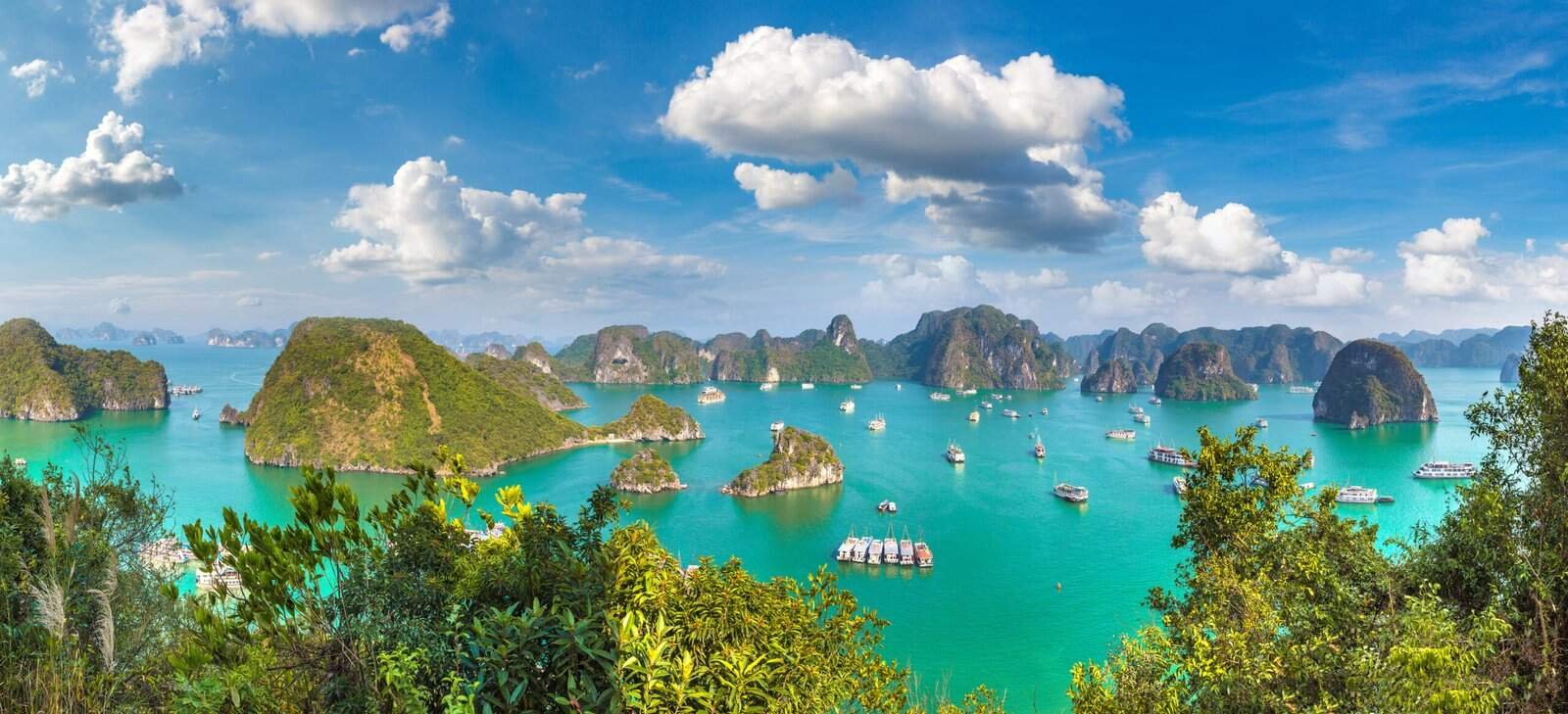 Discovering halong bay: a voyage with vietgo travels