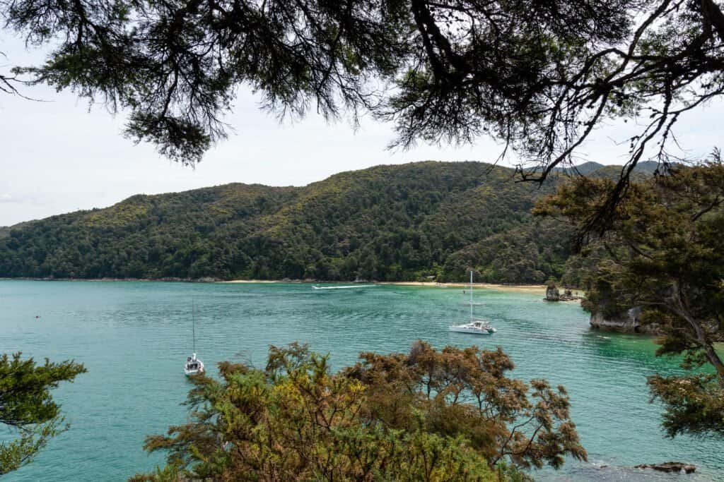 Abel tasman coast track